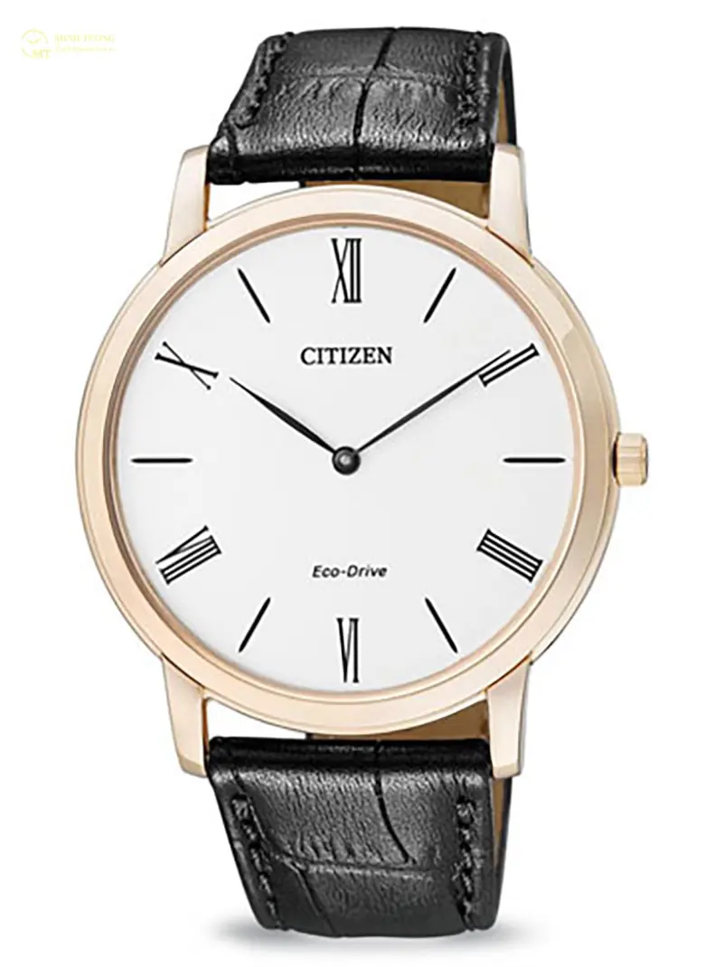 Đồng hồ Citizen AR1061-22A