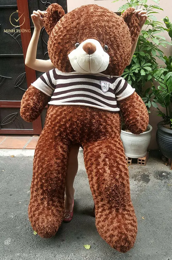 Hầu hết các cô gái đều yêu thích những chú gấu bông mềm mại, dễ thương